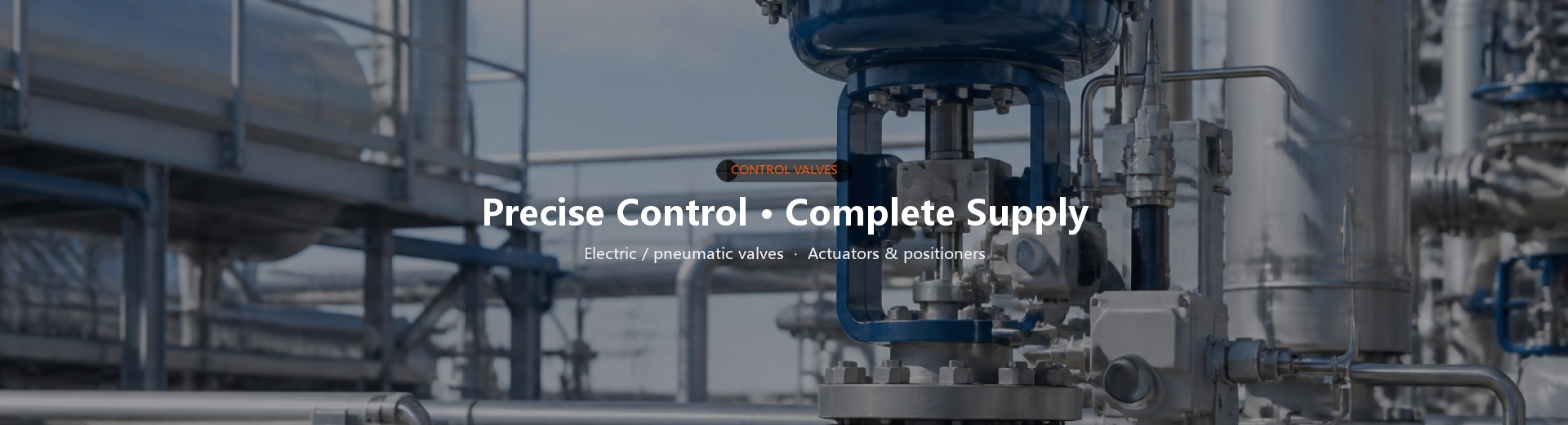 [Home Banner-PC] Control Valves
